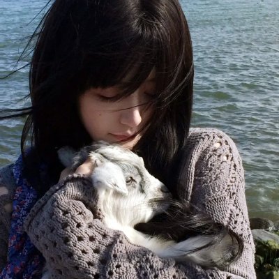 双子谜情 海报